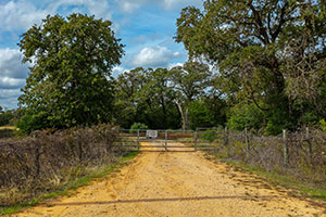 TBD Private Road 1014, Rockdale, TX.